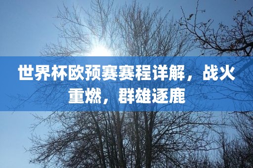 世界杯欧预赛赛程详解，战火重燃，群雄逐鹿眉山市正发家政服务有限公司