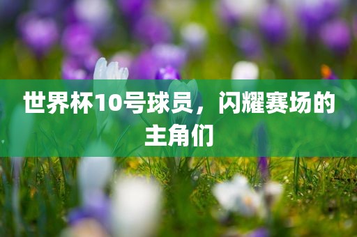 世界杯10号球员，闪耀赛场的主角们眉山市正发家政服务有限公司