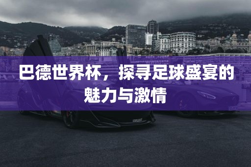 巴德世界杯，探寻足球盛宴的魅力与激情眉山市正发家政服务有限公司