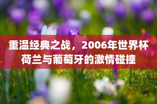 重温经典之战，2006年世界杯荷兰与葡萄牙的激情碰撞眉山市正发家政服务有限公司