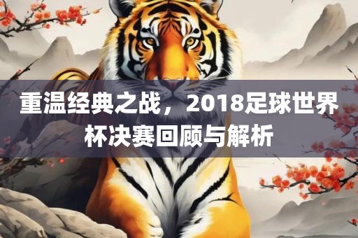 重温经典之战，2018足球世界杯决赛回顾与解析