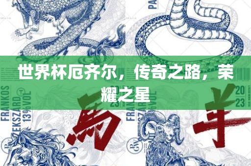 世界杯厄齐尔，传奇之路，荣耀之星