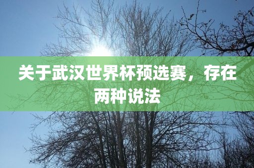 关于武汉世界杯预选赛，存在两种说法眉山市正发家政服务有限公司