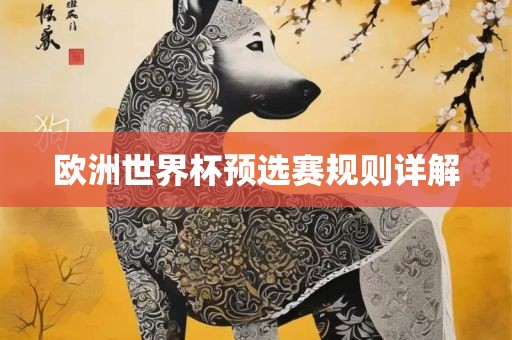 欧洲世界杯预选赛规则详解