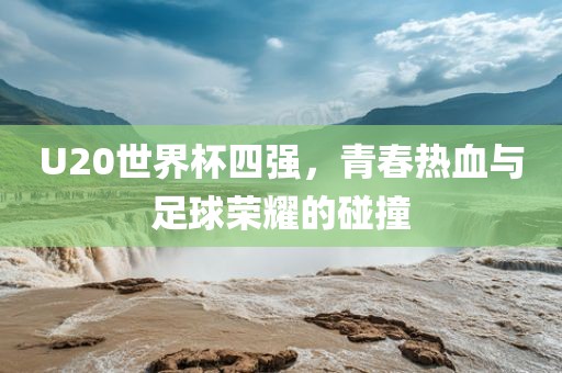 U20世界杯四强，青春热血与足球荣耀的碰撞