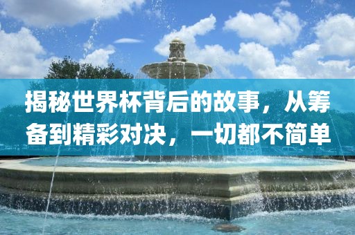 揭秘世界杯背后的故事眉山市正发家政服务有限公司，从筹备到精彩对决，一切都不简单