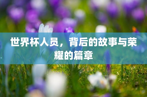 世界杯人员，背后的故事与荣耀的篇章眉山市正发家政服务有限公司