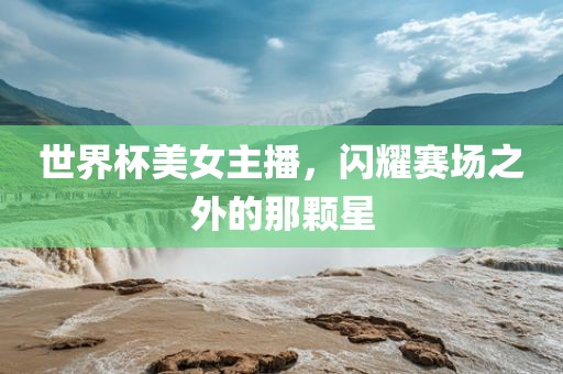 世界杯美女主播，眉山市正发家政服务有限公司闪耀赛场之外的那颗星