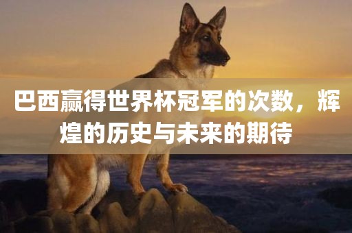 巴西赢得世界杯冠军的次数，辉煌的历史与未来的期待眉山市正发家政服务有限公司