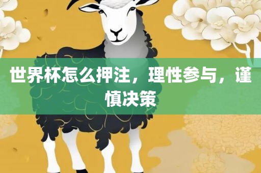 世界杯怎么押注，理性参与，谨慎决策眉山市正发家政服务有限公司