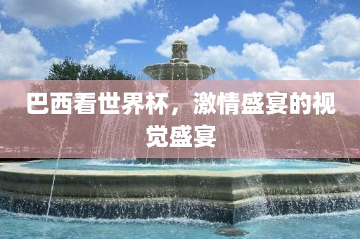 巴西看世界杯，激情盛宴的视觉盛宴眉山市正发家政服务有限公司