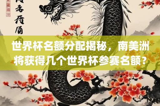 世界杯名额分配揭秘，南美洲将获得几个世界杯参赛名额？