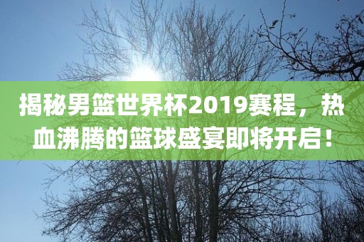 揭秘男篮世界杯2019赛程，热血沸腾的篮球盛宴即将开启！眉山市正发家政服务有限公司