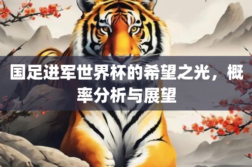 国足进军世界杯的希望之光，概率分析与展望