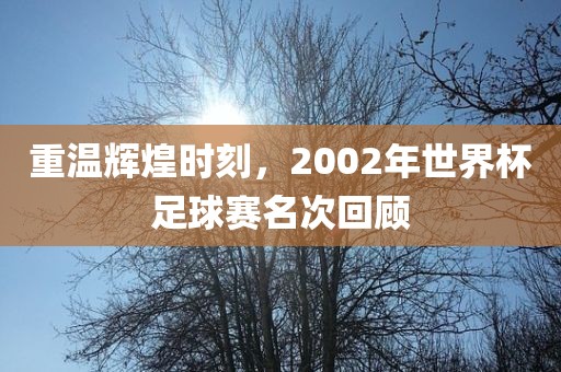 重温辉煌时刻，2002年世界杯足球赛名次回顾