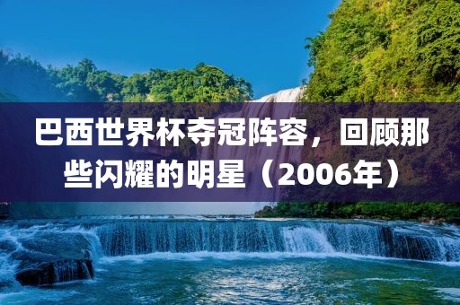 巴西世界杯夺冠阵容，回顾那些闪耀的明星（2006年）眉山市正发家政服务有限公司