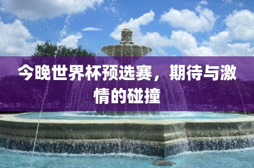 今晚世界杯预选赛，期待与激情的碰撞眉山市正发家政服务有限公司