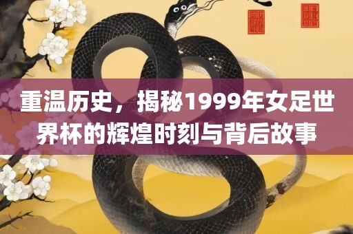 重温历史，揭秘1999年女足世界杯的辉煌时刻与背后故事