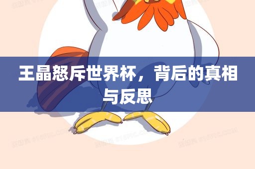 王晶怒斥世界杯，背后的真相与反思眉山市正发家政服务有限公司