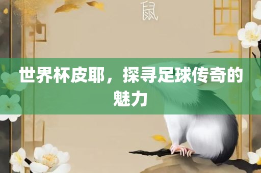 世界杯皮耶，探寻足球传奇的魅眉山市正发家政服务有限公司力