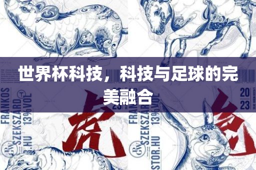 世界杯科技，科技与足球的完美融合眉山市正发家政服务有限公司