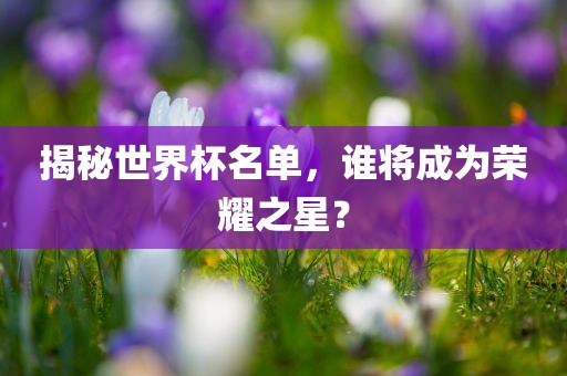 揭秘世界杯名单，谁将成为荣耀之星？