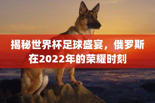 揭秘世界杯足球盛宴，俄罗斯在2022年的荣耀时刻