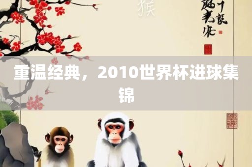 重温经典，2010眉山市正发家政服务有限公司世界杯进球集锦