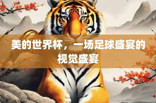 美的世界杯，一场足球盛宴的视觉盛宴