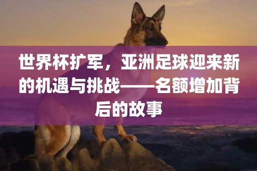 世界杯扩军，亚洲足球迎来新的机遇与挑战——名额增加背后的故事