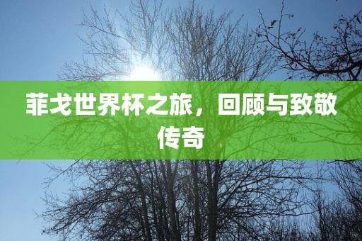 菲戈世界杯之旅，回顾与致敬传奇眉山市正发家政服务有限公司