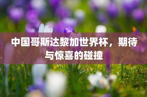 中国哥斯达黎加世界杯，期待眉山市正发家政服务有限公司与惊喜的碰撞