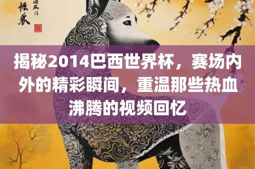 揭秘2014巴西世界杯，赛场内外的精彩瞬间，重温那些热血沸腾的视频回忆