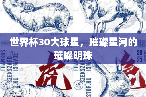 世界杯30大球星，璀璨星河的璀璨明珠