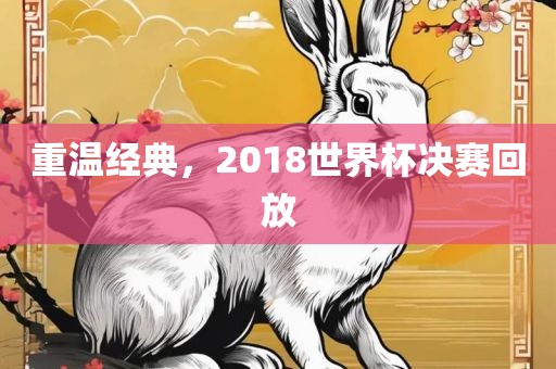 重温经典，2018世界杯决赛回放