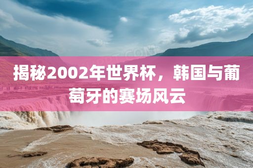 揭秘2002年世界杯，韩国与葡萄牙的赛场风云