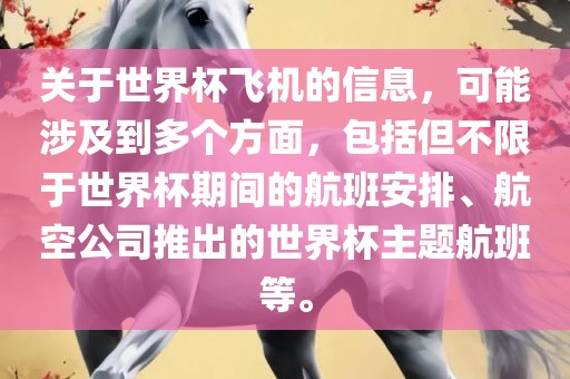 关于世界杯飞机的信息，可能涉及到多个方面，包括但不限于世界杯期间的航班安排、航空公司推出的世界杯主题航班等。眉山市正发家政服务有限公司