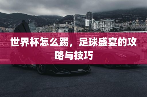 世界杯足球 第3页