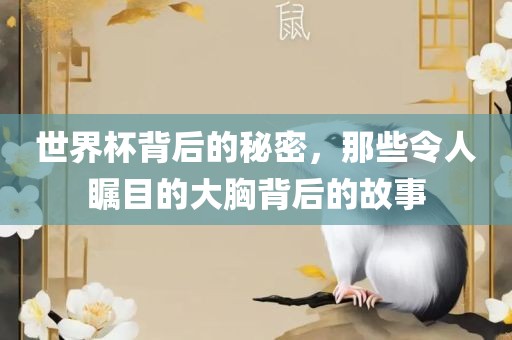 世界杯背后的秘密，那些令人瞩目的大胸背后的故事眉山市正发家政服务有限公司