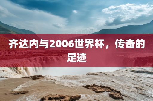 齐达内与2006世界杯，传奇的足迹眉山市正发家政服务有限公司