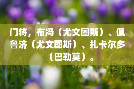 门将，布冯（尤文图斯）、佩鲁济（尤文图斯）、扎卡尔多（巴勒莫）。眉山市正发家政服务有限公司