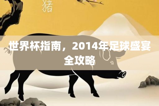 世界杯指南，2014年足球盛宴全攻略眉山市正发家政服务有限公司
