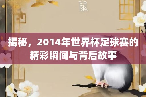 揭秘，2014年世界杯足球赛的精彩瞬间与背后故事眉山市正发家政服务有限公司