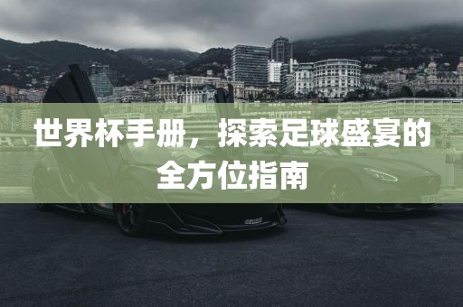 世界杯手册，探索足球盛宴的全方位指南眉山市正发家政服务有限公司