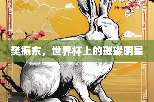 樊振东，世界杯上的璀璨明星