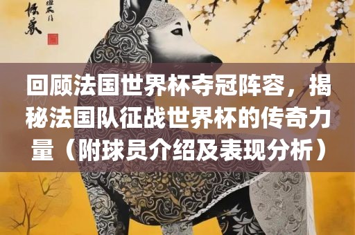 回顾法国世界杯夺冠阵容，揭秘法国队征战世界杯的传奇力量（附球员介绍及表现分析）