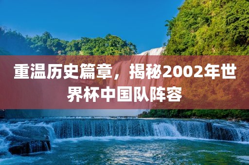 重温历史篇章，揭秘2002年世界杯中国队阵容
