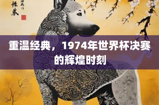 重温经典，1974年世界杯决赛的辉煌时刻