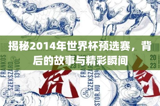 揭秘2014年世界杯预选赛，背后的故事与精彩瞬间