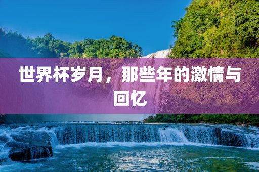 世界杯岁月，那些年的激情与回忆眉山市正发家政服务有限公司
